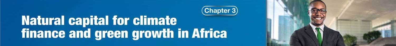 Chapter 3: NATURAL CAPITAL FOR CLIMATE FINANCE AND GREEN GROWTH IN AFRICA